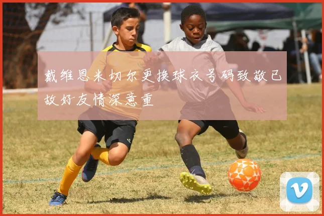 戴维恩米切尔更换球衣号码致敬已故好友情深意重